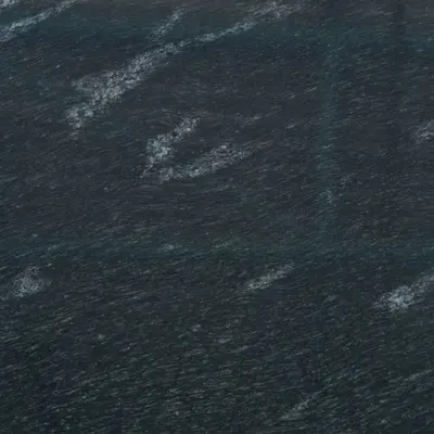 Fish Black